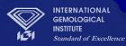 IGI logo